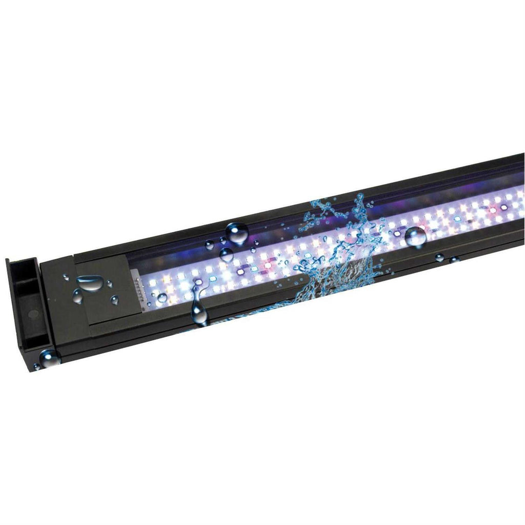 LED I66181