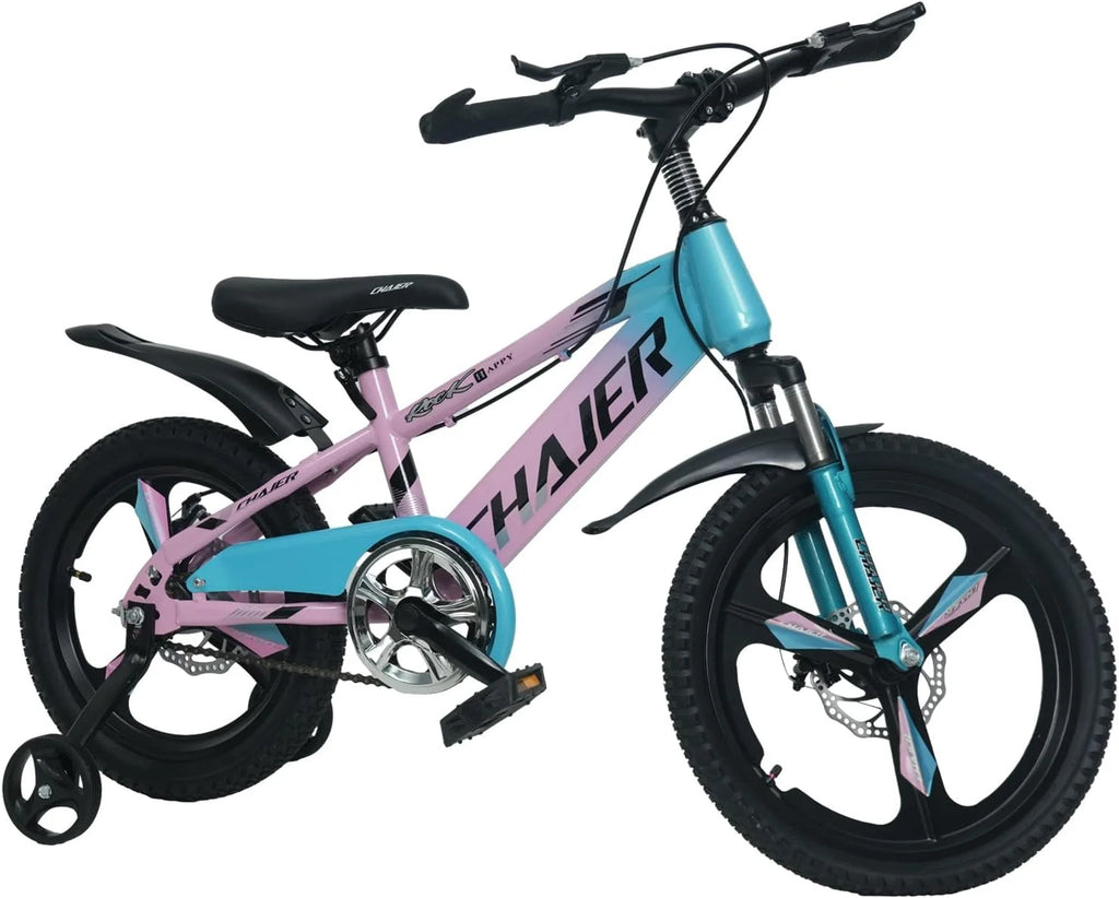 20 Kids Bike with Training Wheels, Handbrake, Kickstand U187961