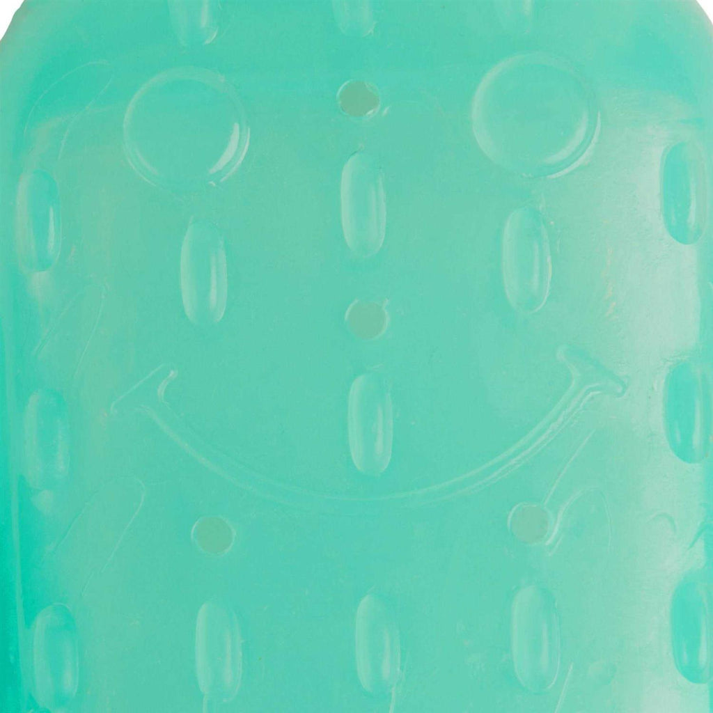 Cactus Chew Ring Dog Toy Q49403