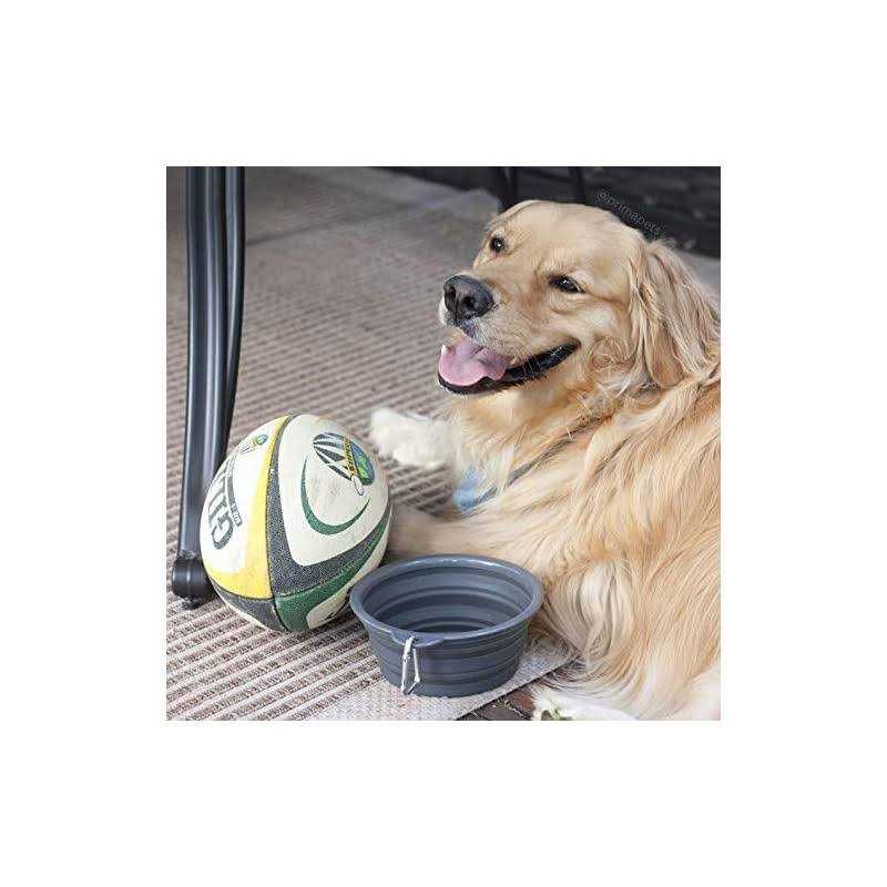 Collapsible Silicone Water Travel Bowl with Clip I402