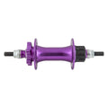 36H Cass R775893