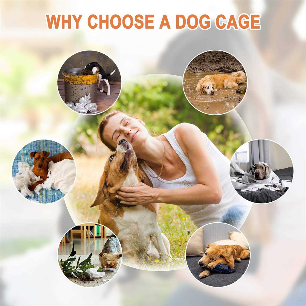 Double Door Folding Metal Wire Dog Crate with Tray G861018