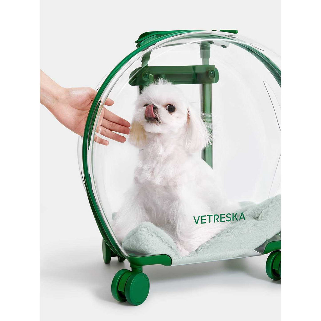 Dog & Cat Carrier V93098