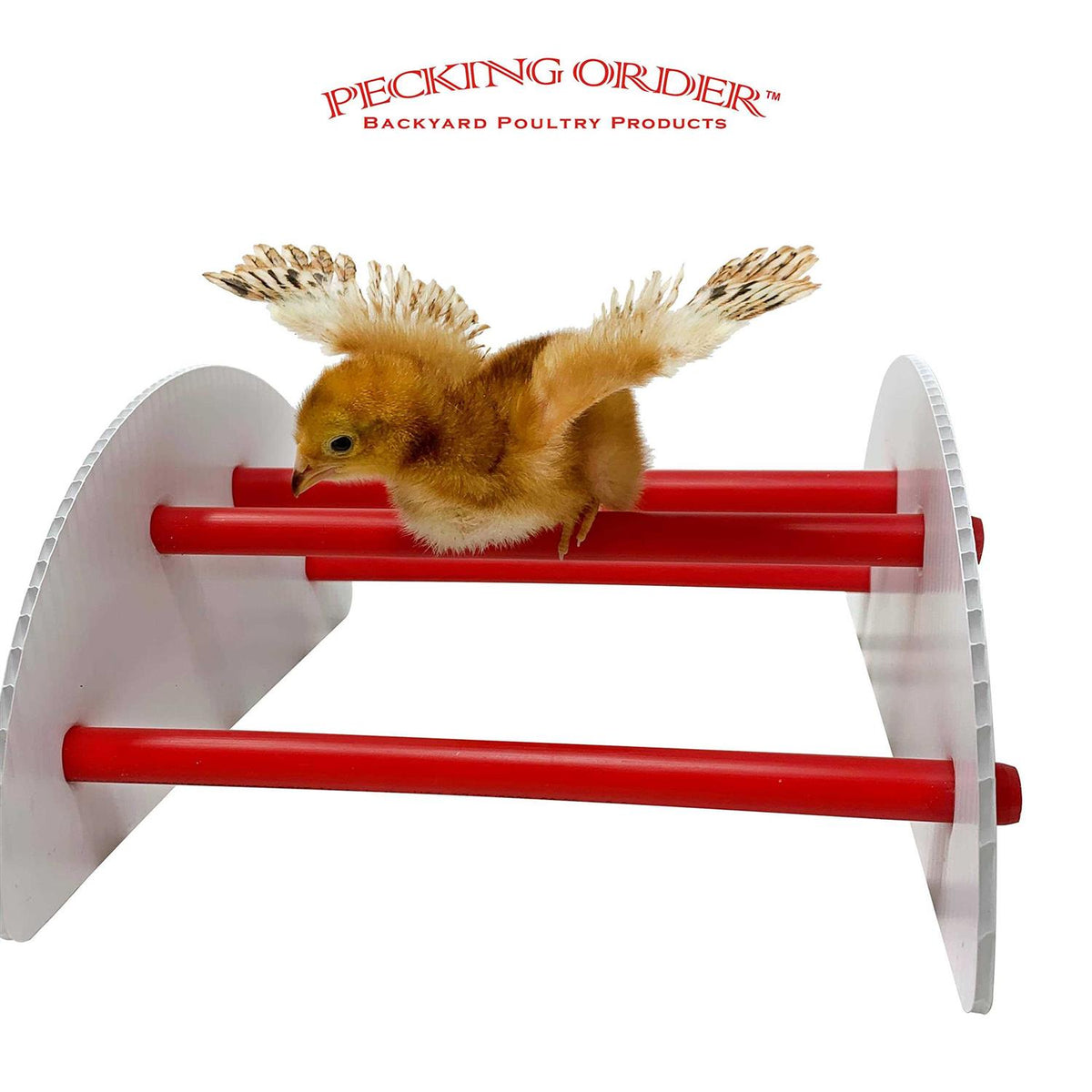 Chick-N-Play Pet Supplies E415286