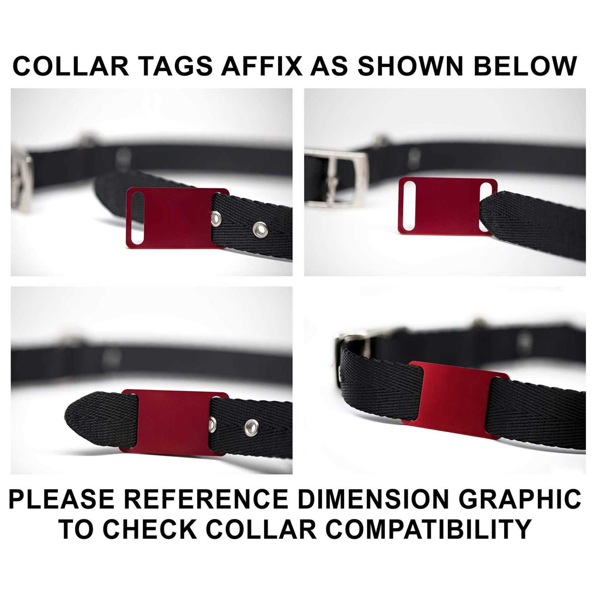 Slide-On Pet ID Tag Collar Tag D96570