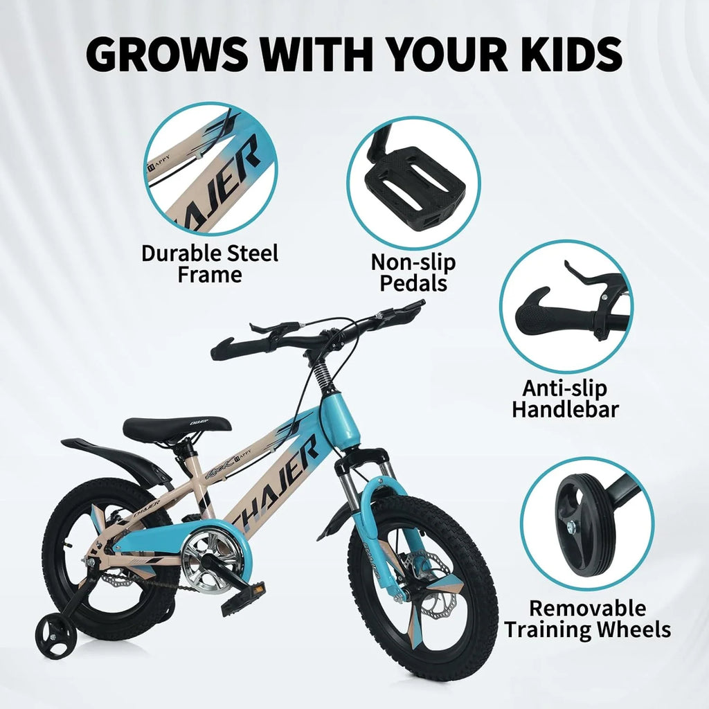 20 Kids Bike with Training Wheels, Handbrake, Kickstand U187961