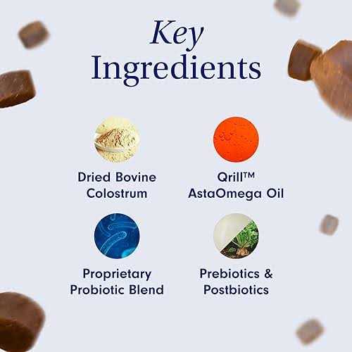 Allergy & Immune Support Pet Supplies C751384
