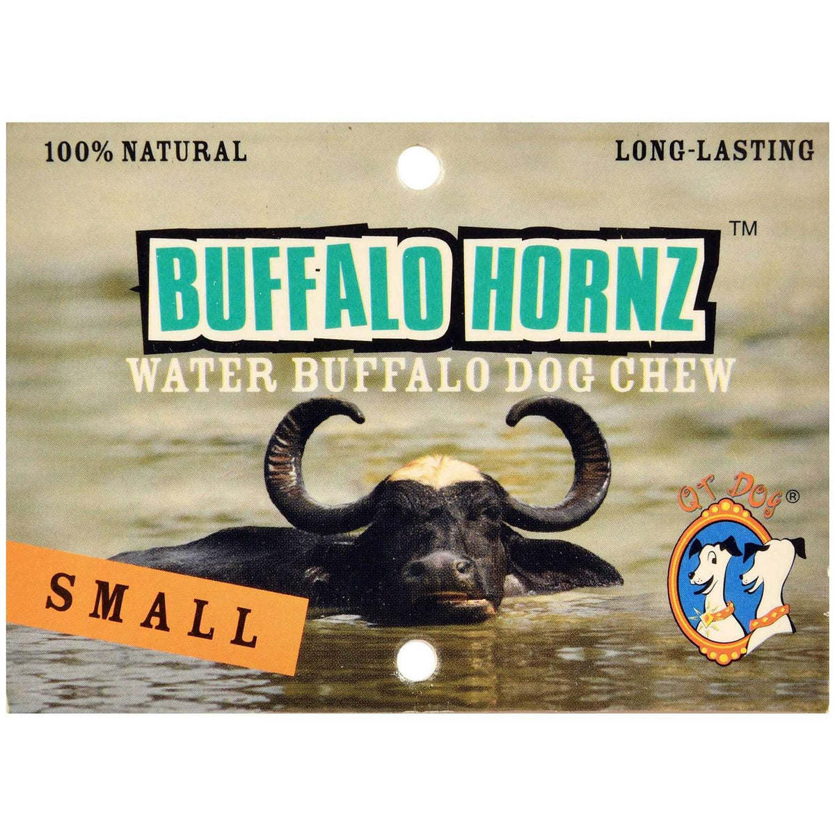 Dog Water Buffalo Horn Small Z1155