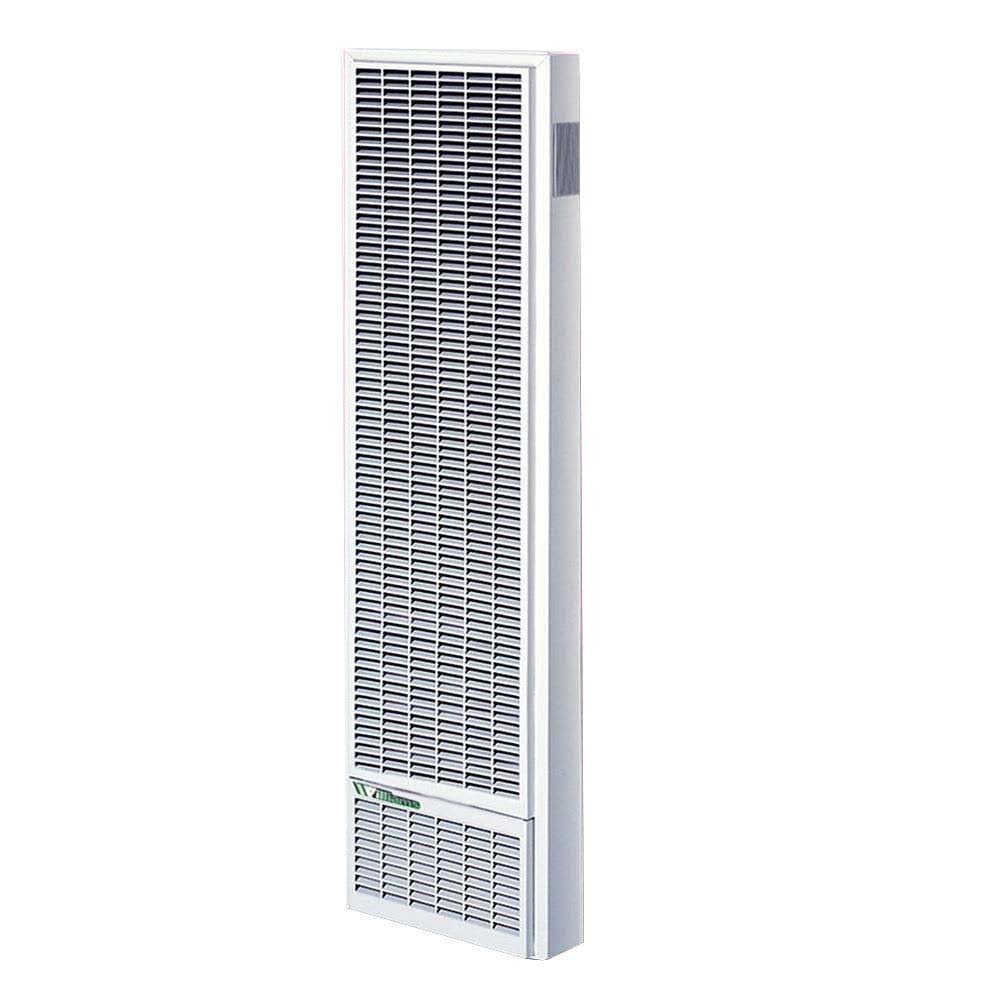 25,000 BTU/Hour Top-Vent Gravity Wall Furnace LP Gas Heater with Thermostat H484