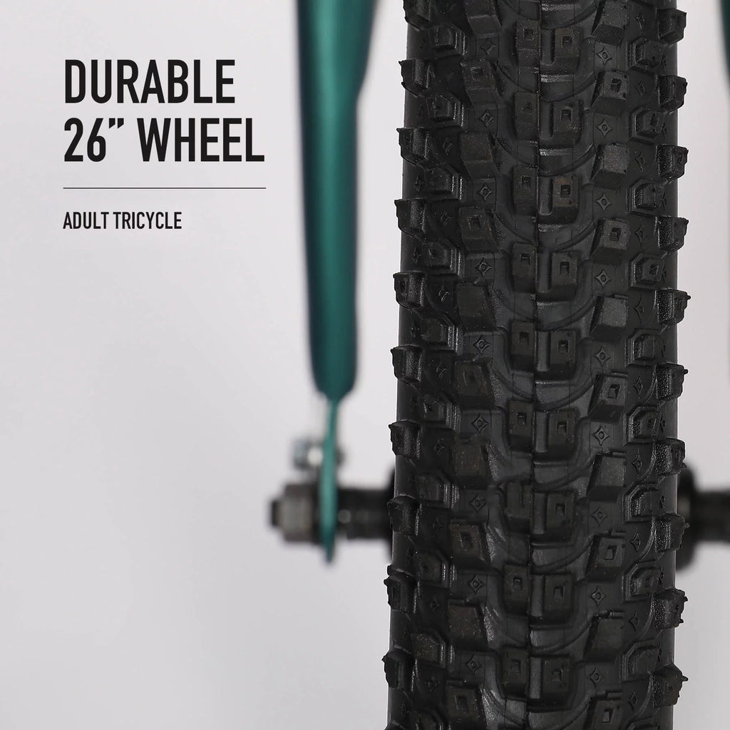 26 Inch Single Speed 3 Wheel Bike with Removable Basket G2464