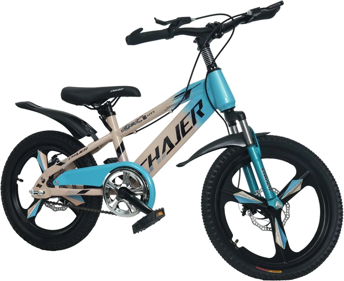 20 Kids Bike with Training Wheels, Handbrake, Kickstand U187961
