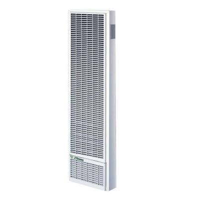 25,000 BTU/Hour Top-Vent Gravity Wall Furnace LP Gas Heater with Thermostat H484