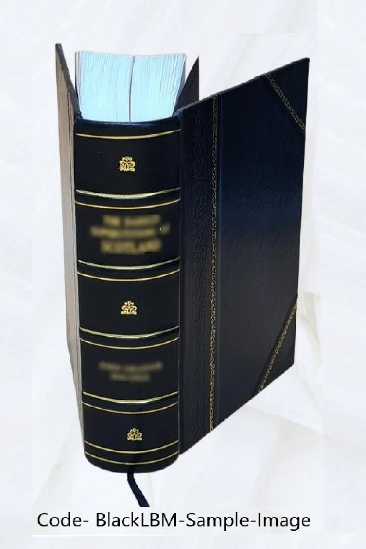 Storia della caduta dell'impero Romano e della decadenza della civiltà dall'anno 250 al 1000 Leather Bound N8182