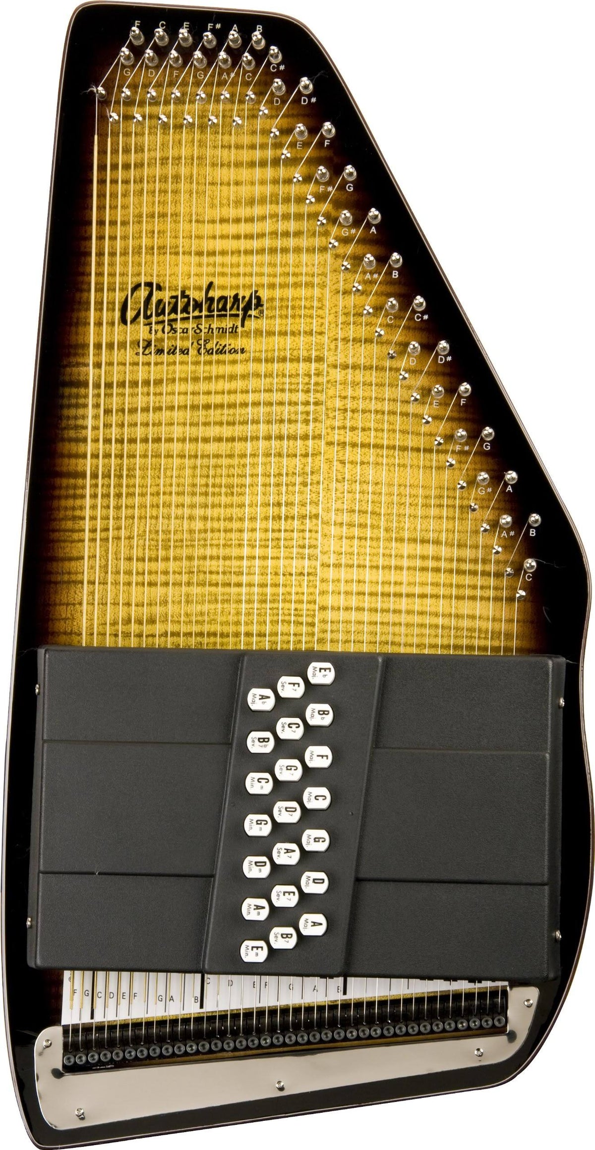 Acoustic Electric Auto Harp J44901