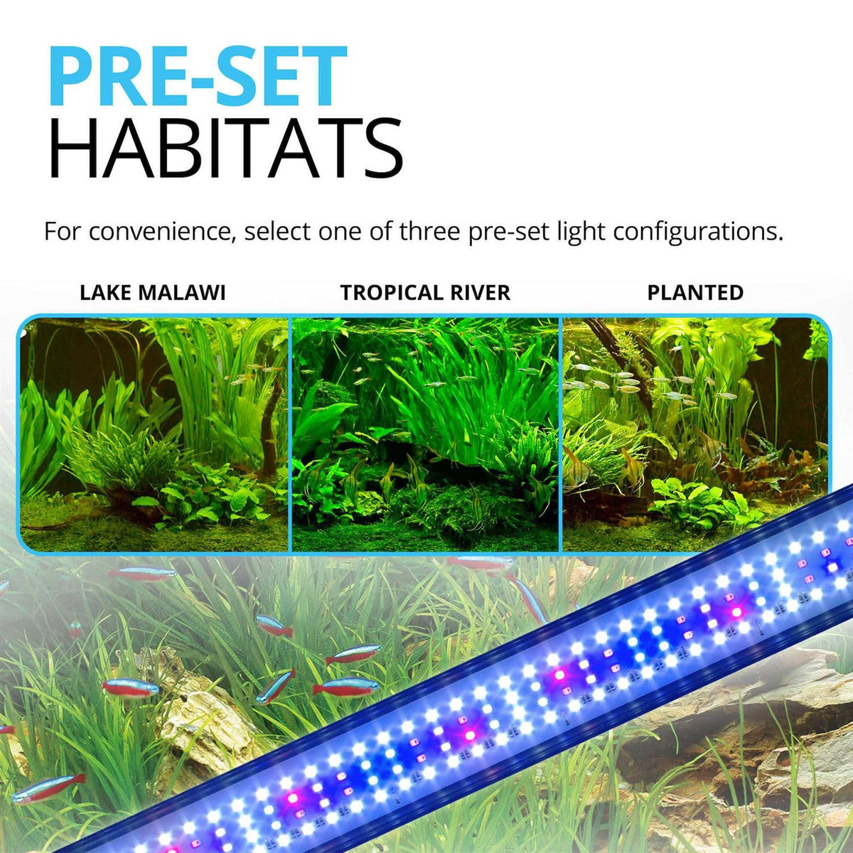 LED I66181