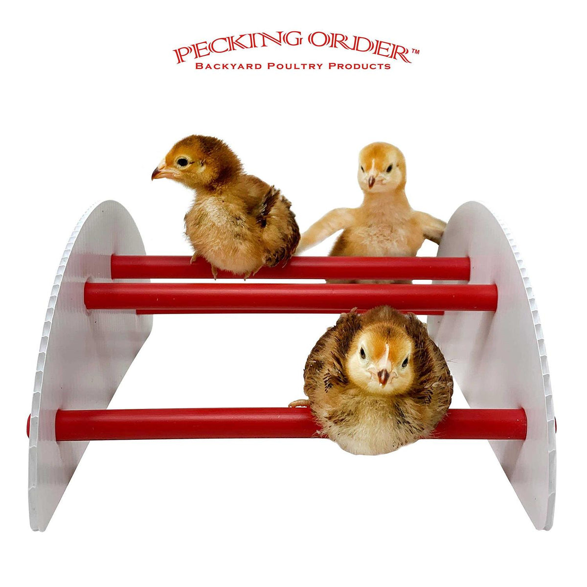 Chick-N-Play Pet Supplies E415286