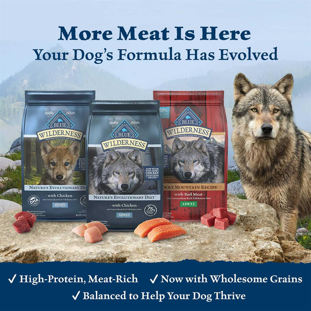 Dog Food W49279