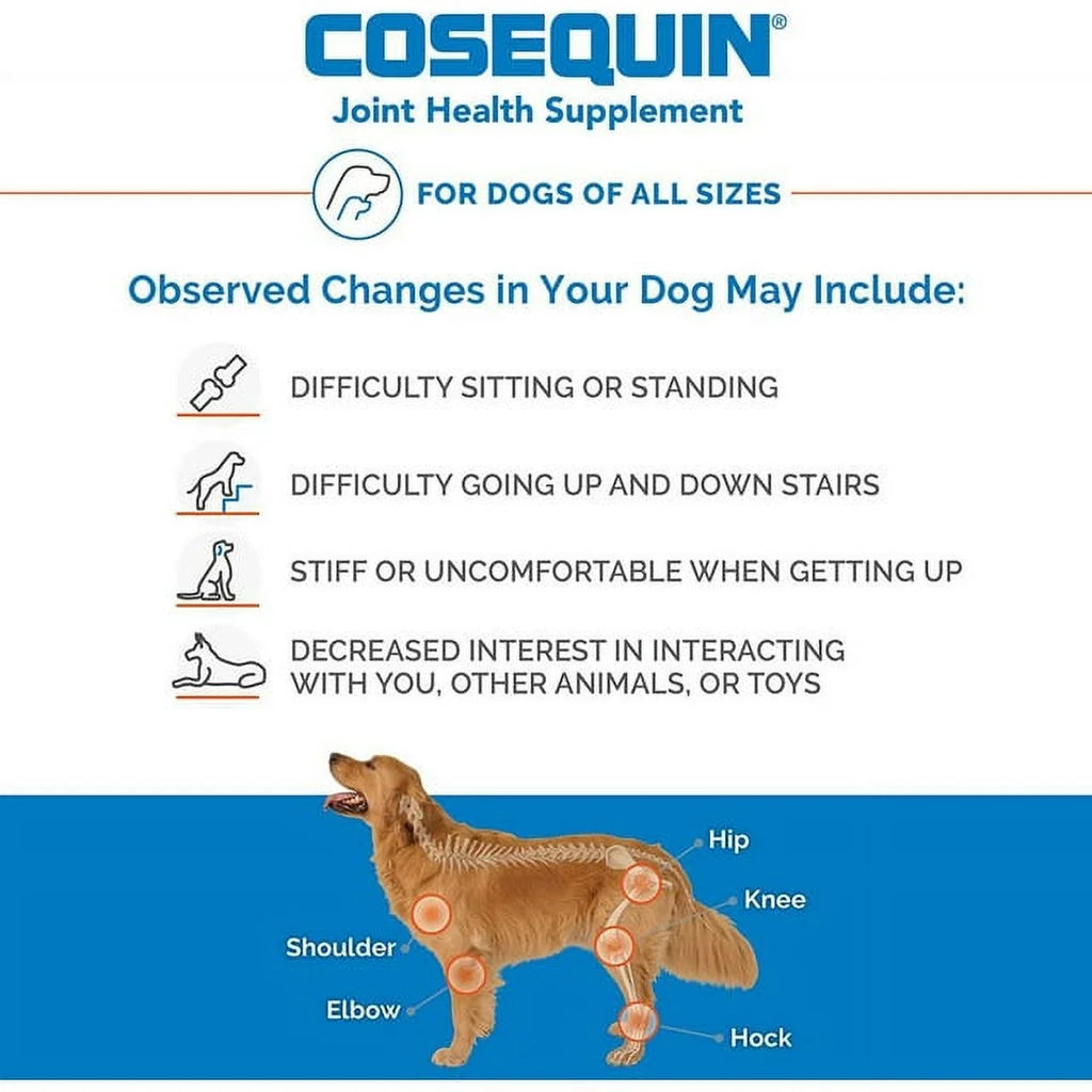 Chewable Tablets H805142