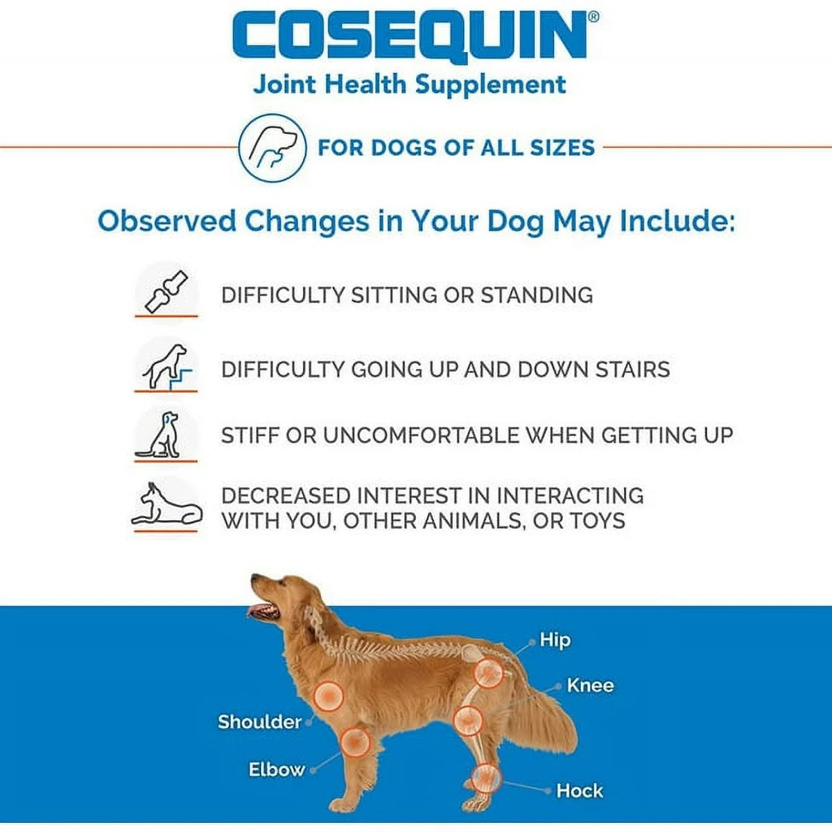 Chewable Tablets H805142