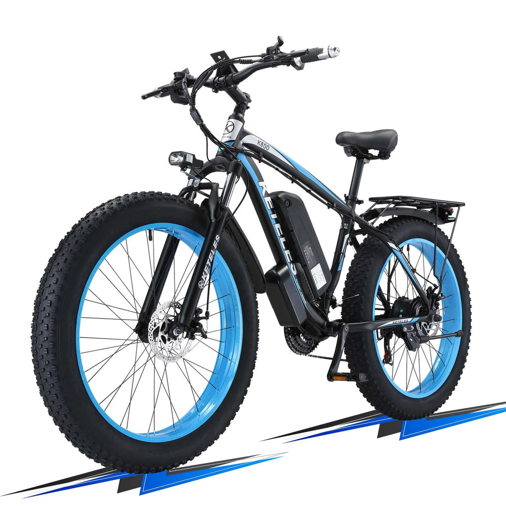 750W 48V 13AH Fat Tire Electric Bike F9749