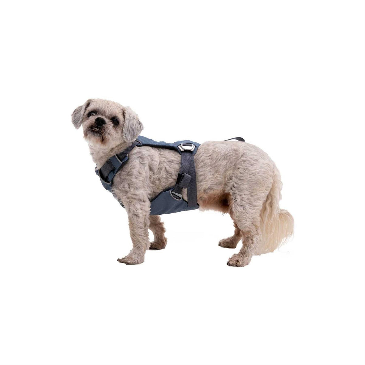 Load Up Harness D24132