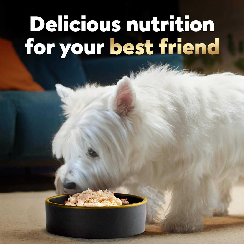 Wet Dog Food Bowls Y2151