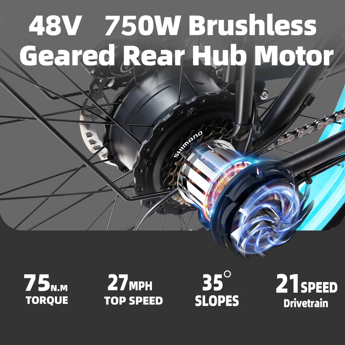 750W 48V 13AH Fat Tire Electric Bike F9749