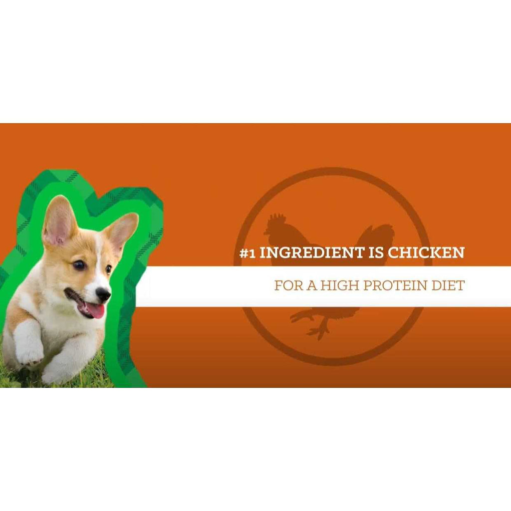 Chicken & Brown Rice Puppy Food I934279