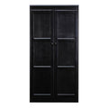 Espresso 2 Door Storage Cabinet N666