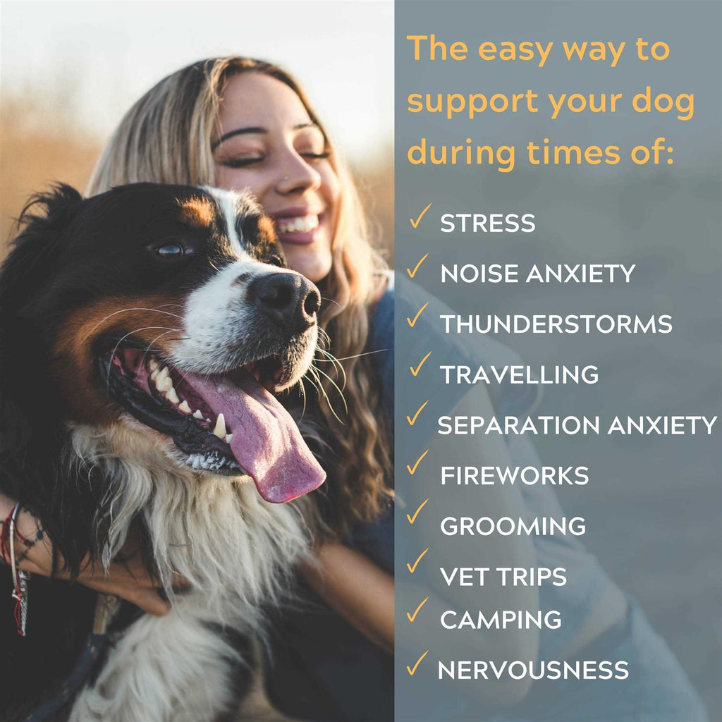 Calming Dog Chews V391