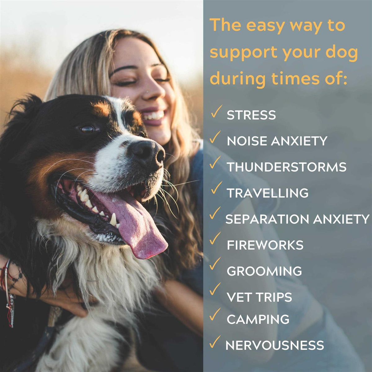 Calming Dog Chews V391