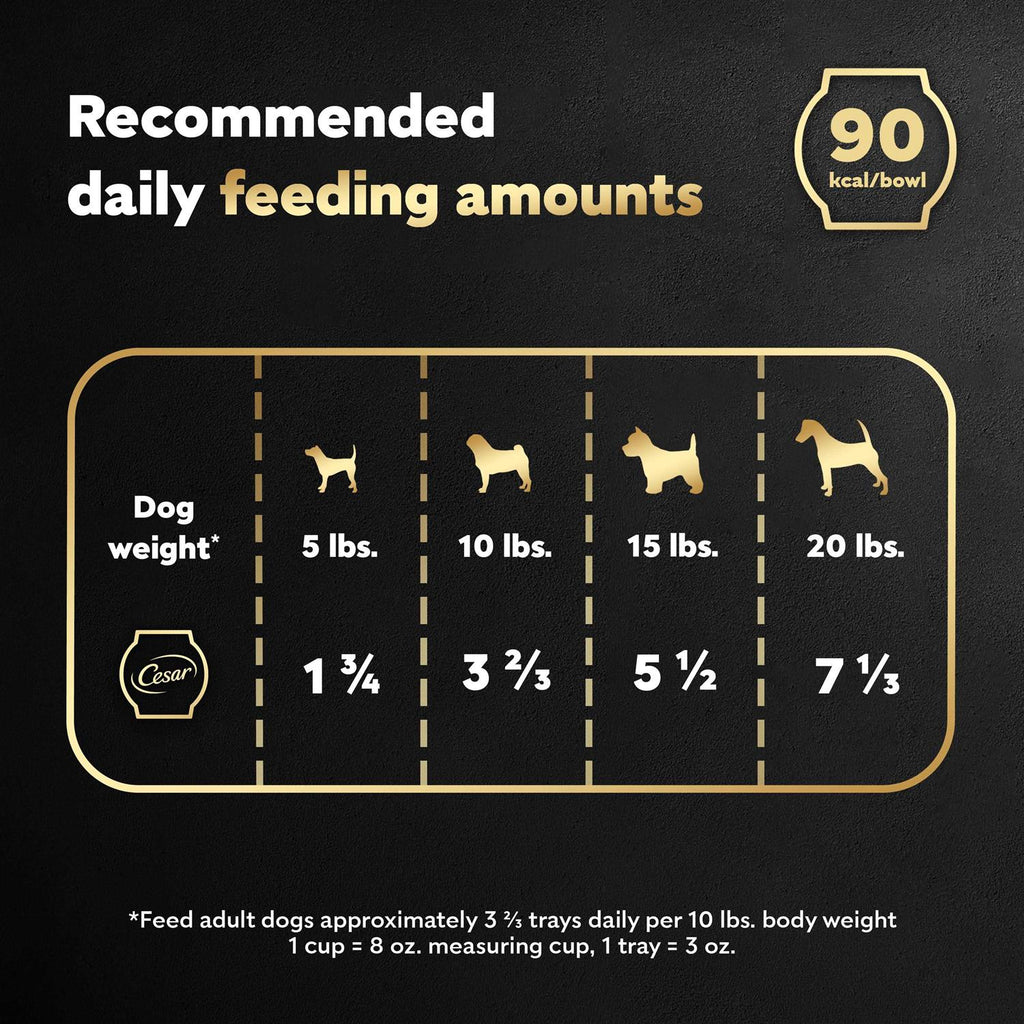 Wet Dog Food Bowls Y2151