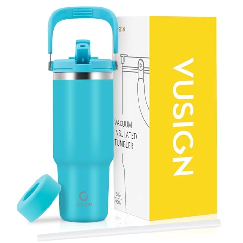 30 oz Stainless Steel Vacuum Insulated Tumbler with Handle and Flip Straw C9343