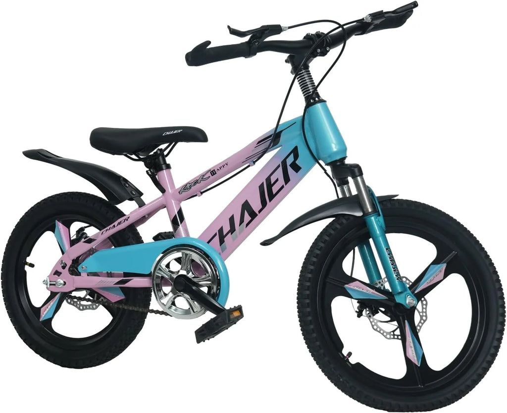 20 Kids Bike with Training Wheels, Handbrake, Kickstand U187961