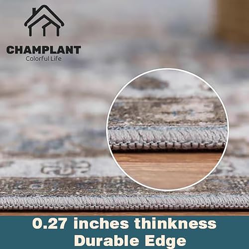 6'x9' Washable Vintage Area Rug T922