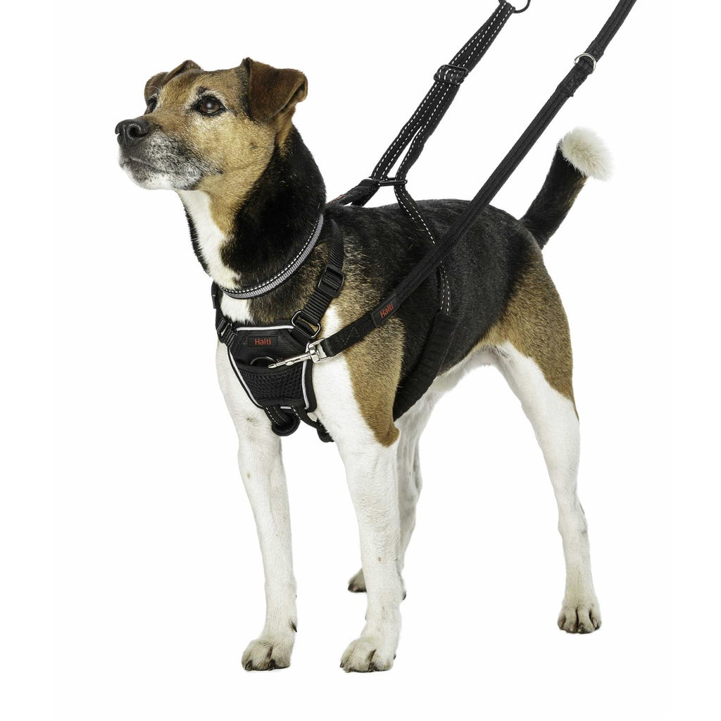 No Pull Dog Harness R970