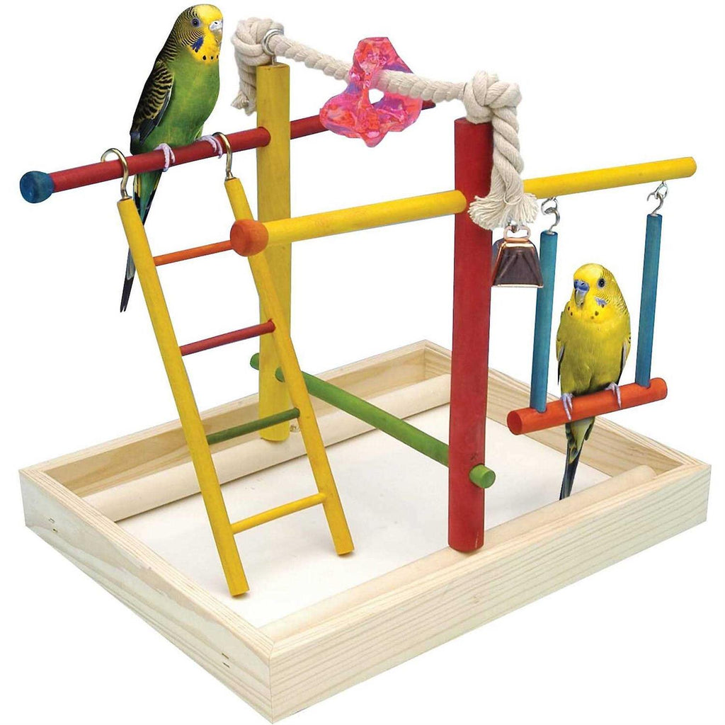 Bird Activity Center V2999