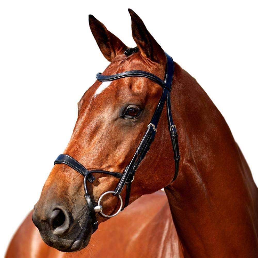 Black Training Bridle X6988
