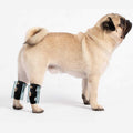 Small Dog Rear Leg Support Splint Braces F5246