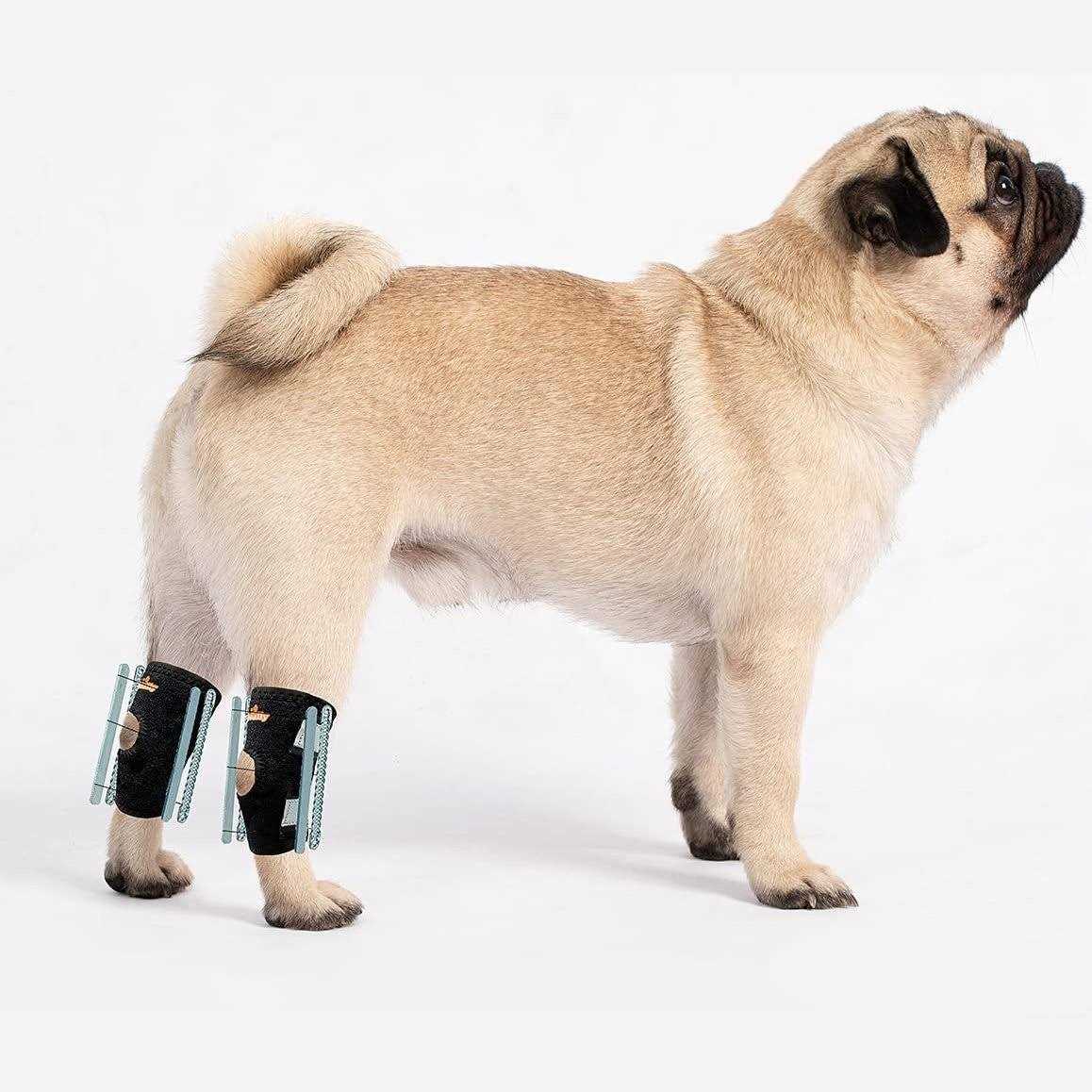Small Dog Rear Leg Support Splint Braces F5246