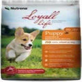 Chicken & Brown Rice Puppy Food I934279