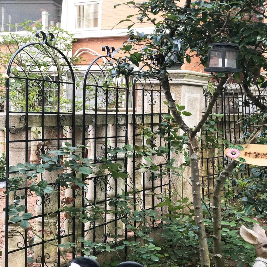 2 Pack Large Heavy Duty Rustproof Black Iron Plant Trellis M3992
