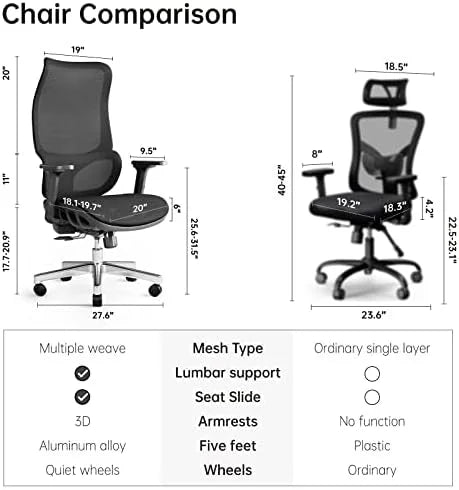 Big and Tall Ergonomic Office Chair 450 lbs with Lumbar Support R2209