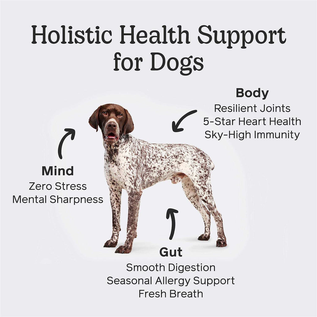 Dog Pet Supplies U17852