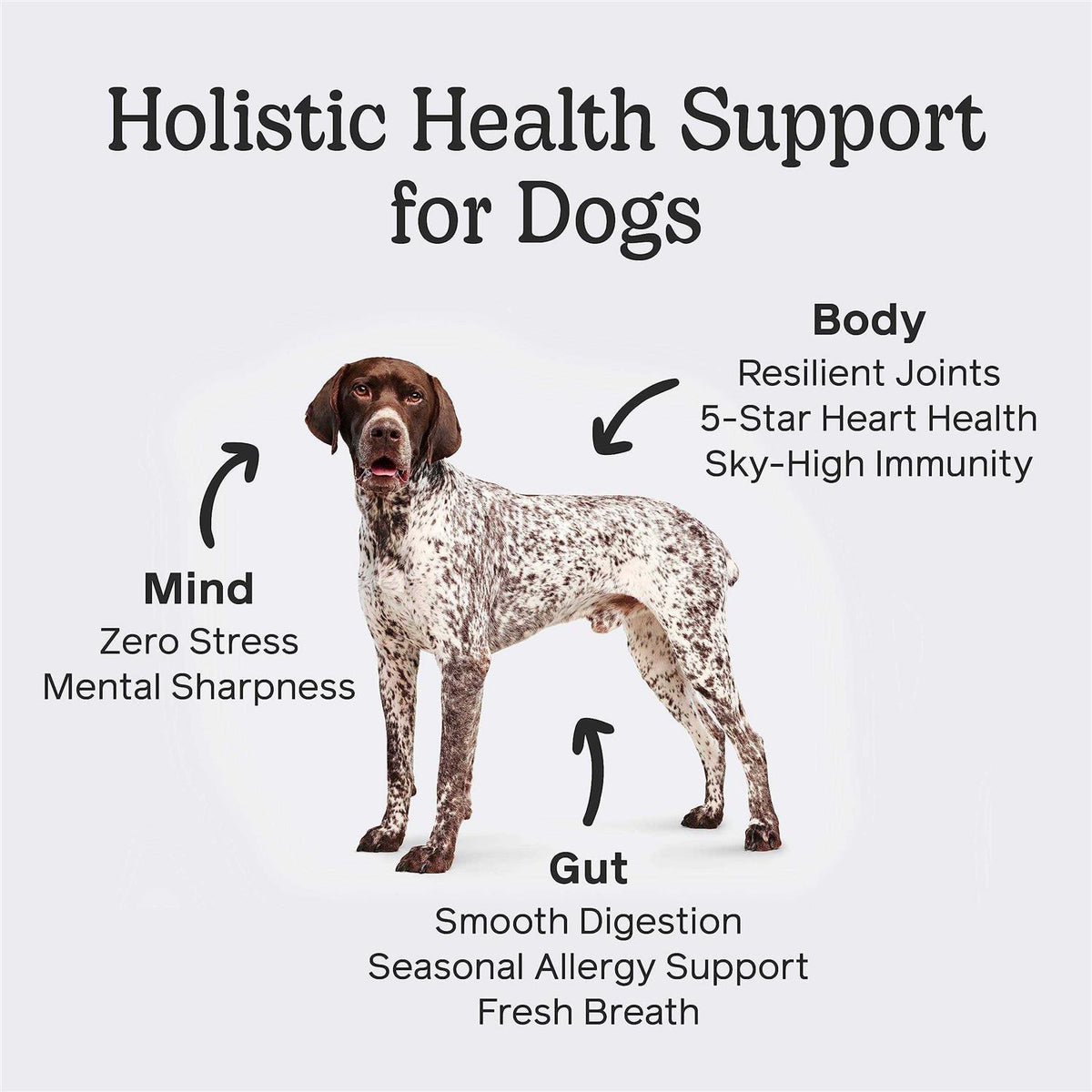 Dog Pet Supplies U17852