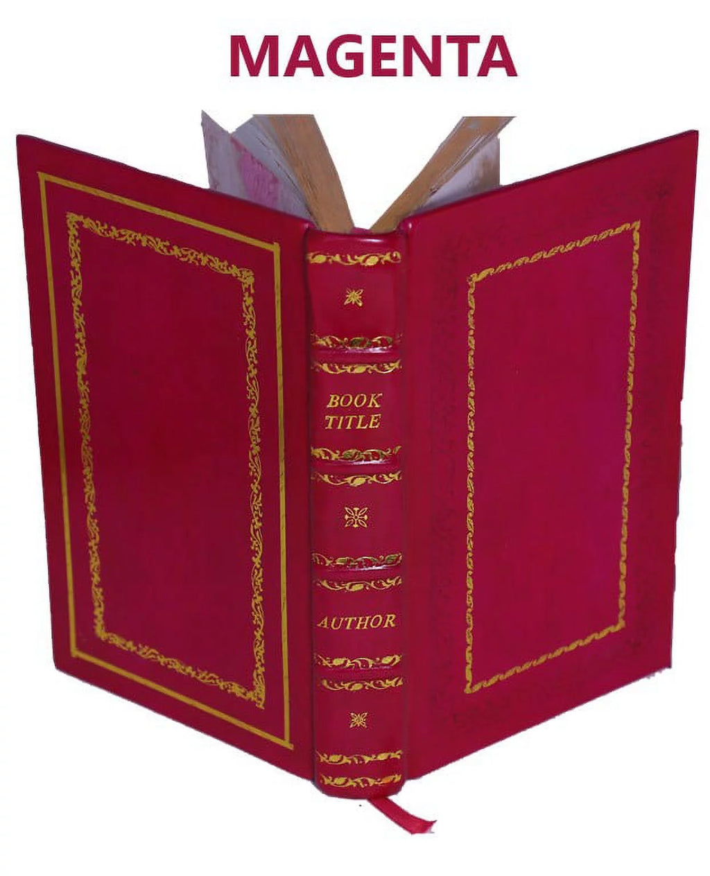 Genealogy and History of the Daniel Dod Family in America Leather Bound I7797