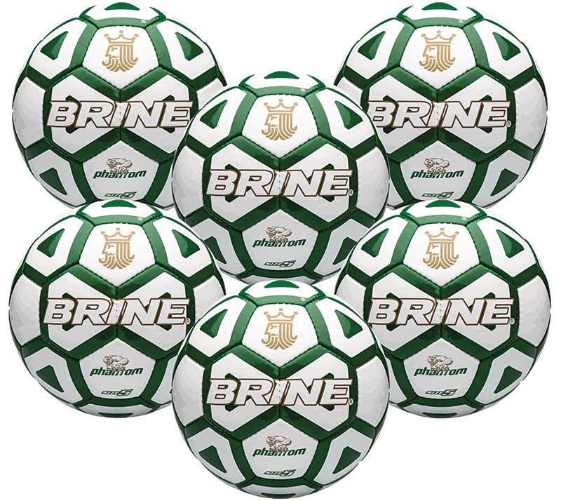 Green Soccer Ball Pack of 6 E702753