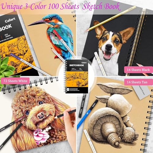 176 PCS Art Supplies Sketching Kit with 100 Sheets Sketch Book and Pencils R128