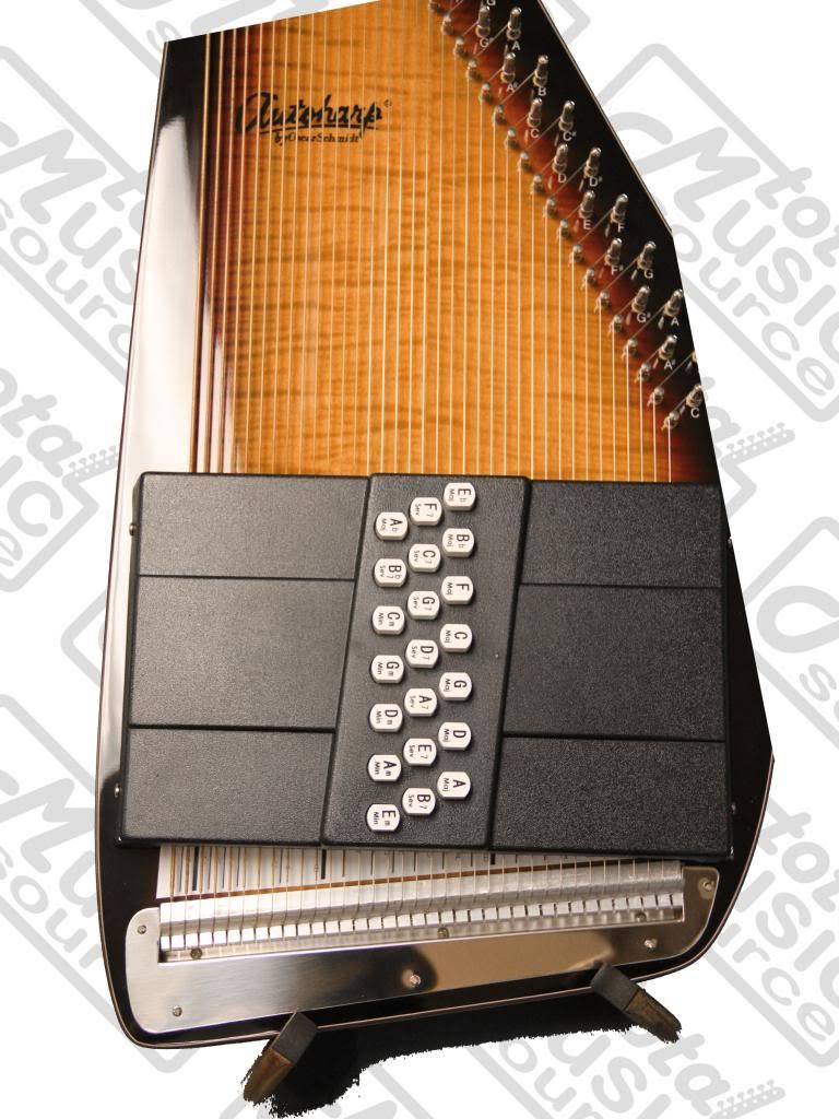 Acoustic Electric Auto Harp J44901
