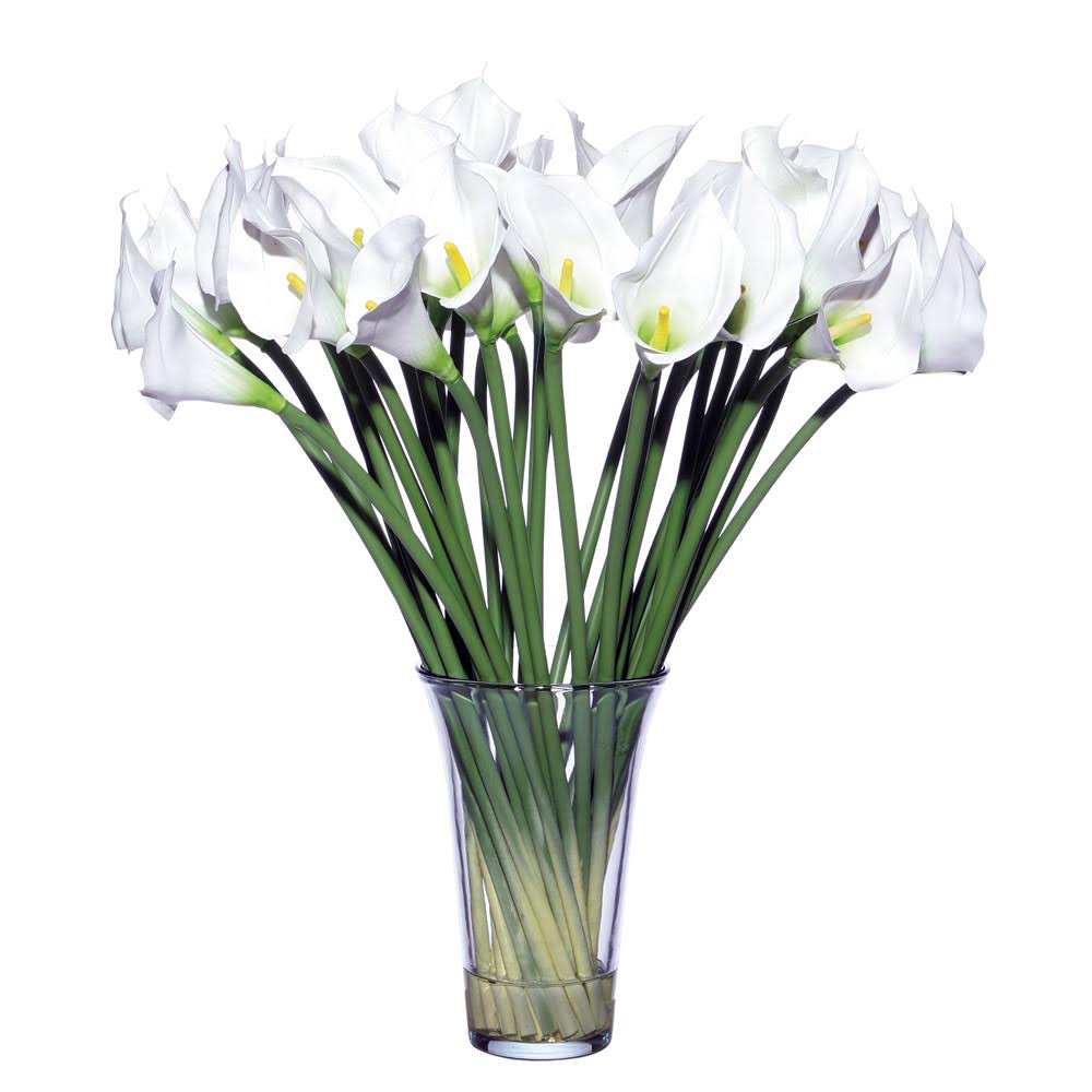 White Callas M967